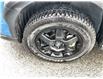 2024 Subaru Outback Wilderness (Stk: 220618) in Ottawa - Image 10 of 24