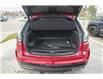 2025 Cadillac XT4 Sport (Stk: 58698) in Red Deer - Image 4 of 17