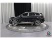 2024 Kia Sportage LX (Stk: 24902) in Edmonton - Image 2 of 21