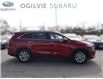 2019 Kia Sorento 2.4L LX (Stk: 18-SQ381A) in Ottawa - Image 22 of 24