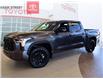 2025 Toyota Tundra Limited (Stk: 19-32035) in Ottawa - Image 34 of 34