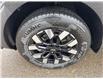 2025 Hyundai Santa Cruz Preferred (Stk: 25-281) in Prince Albert - Image 5 of 17