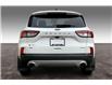 2021 Ford Escape SE (Stk: 23A22631) in Sherwood Park - Image 4 of 30