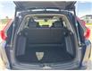 2021 Honda CR-V  (Stk: 5016306C) in Cranbrook - Image 19 of 21