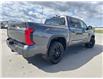 2025 Toyota Tundra Limited (Stk: X299264) in Cranbrook - Image 5 of 20