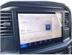 2025 Ford F-150 STX (Stk: VF1F00822) in Chatham - Image 17 of 21