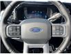 2025 Ford F-250 Lariat (Stk: VF2F00829) in Chatham - Image 17 of 24