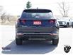 2024 Hyundai Tucson SEL (Stk: MUR1397) in Ottawa - Image 4 of 24