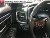 2024 Nissan Rogue Platinum (Stk: NC5476A) in Thunder Bay - Image 17 of 25