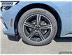 2025 Ford Mustang EcoBoost (Stk: 27091) in Dartmouth - Image 7 of 24