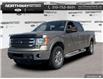 2014 Ford F-150  (Stk: 5F18460A) in Brantford - Image 1 of 18