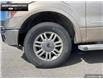 2014 Ford F-150  (Stk: 5F18460A) in Brantford - Image 6 of 18
