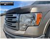 2014 Ford F-150  (Stk: 5F18460A) in Brantford - Image 7 of 18