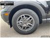 2025 Ford Bronco Sport Big Bend (Stk: 5BR1968) in Brantford - Image 5 of 22