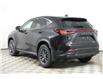2025 Lexus NX 350 Base (Stk: 14110271) in Markham - Image 5 of 14