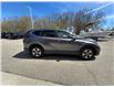2020 Honda CR-V LX (Stk: 12464A) in Brockville - Image 3 of 18