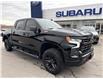 2022 Chevrolet Silverado 1500 LT Trail Boss (Stk: P1995) in Newmarket - Image 1 of 23