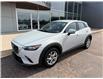 2019 Mazda CX-3 GS (Stk: 24389) in Pembroke - Image 3 of 22