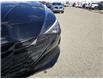 2023 Hyundai Elantra Preferred (Stk: F0609) in Saskatoon - Image 10 of 24
