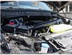 2025 Ford F-150 Tremor (Stk: XFP624) in Sarnia - Image 6 of 24
