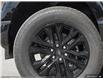 2025 Ford F-150 XLT (Stk: XFP630) in Sarnia - Image 8 of 24