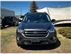 2019 Ford Escape Titanium (Stk: 250311B) in Calgary - Image 7 of 23