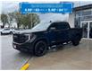 2023 GMC Sierra 1500 Elevation (Stk: RC01368W) in LaSalle - Image 1 of 29
