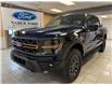 2025 Ford F-150 Tremor (Stk: NA84113) in Shellbrook - Image 1 of 23