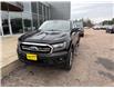 2019 Ford Ranger Lariat (Stk: 24415) in Pembroke - Image 5 of 39