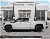 2025 GMC Sierra 1500 Pro (Stk: Z276399) in PORT PERRY - Image 3 of 25