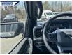 2025 Ford F-150 XLT (Stk: 27061) in Dartmouth - Image 16 of 24