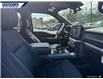 2025 Ford F-150 XLT (Stk: 27061) in Dartmouth - Image 21 of 24
