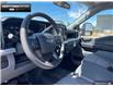 2025 Ford F-250  (Stk: 5F288055) in Brantford - Image 11 of 23