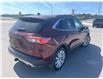 2021 Ford Escape  (Stk: W280391A) in Cranbrook - Image 5 of 27