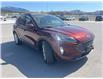 2021 Ford Escape  (Stk: W280391A) in Cranbrook - Image 7 of 27