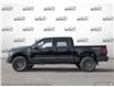 2025 Ford F-150 Tremor (Stk: W4LB101) in Hamilton - Image 3 of 24