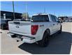 2025 Ford F-150 STX (Stk: VF1F00822) in Chatham - Image 4 of 21