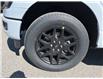 2025 Ford F-150 STX (Stk: VF1F00822) in Chatham - Image 7 of 21