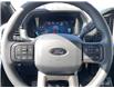 2025 Ford F-150 STX (Stk: VF1F00822) in Chatham - Image 14 of 21