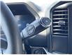 2025 Ford F-150 STX (Stk: VF1F00822) in Chatham - Image 20 of 21