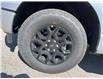 2025 Ford F-150 XLT (Stk: VF1F00725) in Chatham - Image 7 of 21