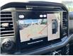 2025 Ford F-150 XLT (Stk: VF1F00725) in Chatham - Image 20 of 21
