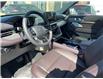 2025 Ford Explorer Platinum (Stk: VFEX00870) in Chatham - Image 9 of 21