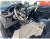 2025 Ford Escape Active (Stk: VFEP00787) in Chatham - Image 8 of 17