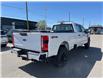 2025 Ford F-250 XL (Stk: VF2F00845) in Chatham - Image 4 of 20