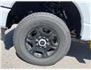 2025 Ford F-250 XL (Stk: VF2F00845) in Chatham - Image 7 of 20