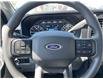 2025 Ford F-250 XL (Stk: VF2F00845) in Chatham - Image 16 of 20