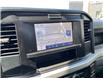 2025 Ford F-250 XL (Stk: VF2F00845) in Chatham - Image 18 of 20