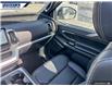 2025 Ford Expedition Platinum (Stk: 27099) in Dartmouth - Image 24 of 24