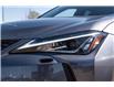 2019 Lexus UX 250h Base (Stk: PW0091) in Edmonton - Image 5 of 27